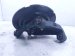 2026 Nissan Sentra Axle Stub Rear Driver Spindle Knuckle Hub 43019 6LY0A Replacement 2026 Nissan Sentra Axle Stub Rear Driver Spindle Knuckle Hub 43019 6LY0A Replacement thumbnail