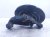 2026 Nissan Sentra Axle Stub Rear Passenger Spindle Knuckle Hub 43018 6LY0A Replacement 2026 Nissan Sentra Axle Stub Rear Passenger Spindle Knuckle Hub 43018 6LY0A Replacement thumbnail