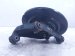 2026 Nissan Sentra Axle Stub Rear Passenger Spindle Knuckle Hub 43018 6LY0A Replacement 2026 Nissan Sentra Axle Stub Rear Passenger Spindle Knuckle Hub 43018 6LY0A Replacement thumbnail