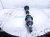 2026 Nissan Sentra Front Driver Cv Axle Drive Shaft 39101 6LY0A Replacement 2026 Nissan Sentra Front Driver Cv Axle Drive Shaft 39101 6LY0A Replacement thumbnail