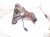 2026 Kia K4 Catalytic Exhaust Manifold W/conv 2.0l Fwd 28510 2JCG0 Replacement 2026 Kia K4 Catalytic Exhaust Manifold W/conv 2.0l Fwd 28510 2JCG0 Replacement thumbnail