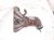 2026 Kia K4 Catalytic Exhaust Manifold W/conv 2.0l Fwd 28510 2JCG0 Replacement 2026 Kia K4 Catalytic Exhaust Manifold W/conv 2.0l Fwd 28510 2JCG0 Replacement thumbnail