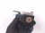 2024 Mercedes Eqb300 Ac Hose Pipe Line A/c Refrigerant Shutoff Valve 293 830 12 01 Replacement 2024 Mercedes Eqb300 Ac Hose Pipe Line A/c Refrigerant Shutoff Valve 293 830 12 01 Replacement thumbnail