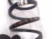 2023 Volkswagen Golf Gti Strut / / Shock Absorber Rear Driver Coil Spring 2.0t Mt 5Q0 511 115 FG Replacement 2023 Volkswagen Golf Gti Strut / / Shock Absorber Rear Driver Coil Spring 2.0t Mt 5Q0 511 115 FG Replacement thumbnail