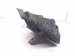 2023 Volkswagen Golf Gti Rear Driver Mud Flap / Splash Guard 5H0 854 857 A Replacement 2023 Volkswagen Golf Gti Rear Driver Mud Flap / Splash Guard 5H0 854 857 A Replacement thumbnail