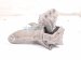 2025 Honda Civic Engine/motor Passenger Engine Mount 1.5l Fwd 50820 T20 A12 Replacement 2025 Honda Civic Engine/motor Passenger Engine Mount 1.5l Fwd 50820 T20 A12 Replacement thumbnail