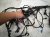 2025 Ford Explorer Dash Instrument Wire Harness 4x4 R1MZ 14290 J Replacement 2025 Ford Explorer Dash Instrument Wire Harness 4x4 R1MZ 14290 J Replacement thumbnail