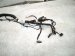 2025 Ford Explorer Dash Instrument Wire Harness 4x4 R1MZ 14290 J Replacement 2025 Ford Explorer Dash Instrument Wire Harness 4x4 R1MZ 14290 J Replacement thumbnail
