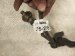 2022 Honda Civic Auto Transmission Hanress 2.0l Fwd 28150 65H A80 Replacement 2022 Honda Civic Auto Transmission Hanress 2.0l Fwd 28150 65H A80 Replacement thumbnail