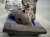2022 Hyundai Elantra Automatic Transmission = 64k Mi 48000 2H306 Replacement 2022 Hyundai Elantra Automatic Transmission = 64k Mi 48000 2H306 Replacement thumbnail