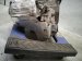 2022 Hyundai Elantra Automatic Transmission = 64k Mi 48000 2H306 Replacement 2022 Hyundai Elantra Automatic Transmission = 64k Mi 48000 2H306 Replacement thumbnail