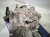 2022 Hyundai Elantra Automatic Transmission = 64k Mi 48000 2H306 Replacement 2022 Hyundai Elantra Automatic Transmission = 64k Mi 48000 2H306 Replacement thumbnail