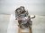 2022 Hyundai Elantra Long Block Engine / Motor = 64k Mi 82HM1 2JK00 Replacement 2022 Hyundai Elantra Long Block Engine / Motor = 64k Mi 82HM1 2JK00 Replacement thumbnail