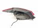 2022 Hyundai Elantra Light / Rear Passenger Tail Lamp (on Body) 92402 AB000 Replacement 2022 Hyundai Elantra Light / Rear Passenger Tail Lamp (on Body) 92402 AB000 Replacement thumbnail