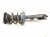 2022 Lexus Ux250h Front Driver Strut Absorber + Spring 48520 76170 Replacement 2022 Lexus Ux250h Front Driver Strut Absorber + Spring 48520 76170 Replacement thumbnail