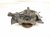 2022 Lexus Ux250h Front Passenger Spindle Knuckle Hub Awd 43211 10130 Replacement 2022 Lexus Ux250h Front Passenger Spindle Knuckle Hub Awd 43211 10130 Replacement thumbnail