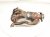 2022 Lexus Ux250h Catalytic Exhaust Manifold 17141 24280 Replacement 2022 Lexus Ux250h Catalytic Exhaust Manifold 17141 24280 Replacement thumbnail