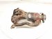 2022 Lexus Ux250h Catalytic Exhaust Manifold 17141 24280 Replacement 2022 Lexus Ux250h Catalytic Exhaust Manifold 17141 24280 Replacement thumbnail