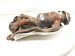 2022 Lexus Ux250h Catalytic Exhaust Manifold 17141 24280 Replacement 2022 Lexus Ux250h Catalytic Exhaust Manifold 17141 24280 Replacement thumbnail