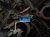 2022 Lexus Ux250h Long Block Engine / Motor = Mi 19000 24331 Replacement 2022 Lexus Ux250h Long Block Engine / Motor = Mi 19000 24331 Replacement thumbnail
