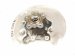 2019 BMW 330i Axle Stub Rear Driver Spindle Knuckle Hub Rwd 3406899175 Replacement 2019 BMW 330i Axle Stub Rear Driver Spindle Knuckle Hub Rwd 3406899175 Replacement thumbnail