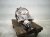 2019 BMW 330i Rear Differential 33108686989 Replacement 2019 BMW 330i Rear Differential 33108686989 Replacement thumbnail