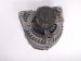 2022 Acura TLX Alternator / Generator 31100 6S8 A02 Replacement 2022 Acura TLX Alternator / Generator 31100 6S8 A02 Replacement thumbnail