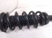 2022 Acura TLX Front Passenger Strut Absorber + Spring 51611 TGV A03 Replacement 2022 Acura TLX Front Passenger Strut Absorber + Spring 51611 TGV A03 Replacement thumbnail