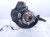 2022 Acura TLX Front Driver Spindle Knuckle Hub Fwd 51216 TGV A03 Replacement 2022 Acura TLX Front Driver Spindle Knuckle Hub Fwd 51216 TGV A03 Replacement thumbnail