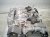 2022 Acura TLX Automatic Transmission = Mi 20021 6T0 A00 Replacement 2022 Acura TLX Automatic Transmission = Mi 20021 6T0 A00 Replacement thumbnail