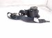 2022 Acura TLX Front Driver Seat Belt Black 04818 TGV A02ZB Replacement 2022 Acura TLX Front Driver Seat Belt Black 04818 TGV A02ZB Replacement thumbnail