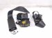 2022 Acura TLX Front Passenger Seat Belt Black 04814 TGV A00ZB Replacement 2022 Acura TLX Front Passenger Seat Belt Black 04814 TGV A00ZB Replacement thumbnail