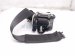 2022 Acura TLX Front Passenger Seat Belt Black 04814 TGV A00ZB Replacement 2022 Acura TLX Front Passenger Seat Belt Black 04814 TGV A00ZB Replacement thumbnail