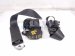 2022 Acura TLX Front Passenger Seat Belt Black 04814 TGV A00ZB Replacement 2022 Acura TLX Front Passenger Seat Belt Black 04814 TGV A00ZB Replacement thumbnail