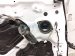 2022 Acura TLX Rear Driver Door White No Inside Trim 67550 TGV A01ZZ Replacement 2022 Acura TLX Rear Driver Door White No Inside Trim 67550 TGV A01ZZ Replacement thumbnail