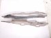 2020 Mercedes S560 Rear Passenger Spring Seat Lower Control Arm 222 352 02 02 Replacement 2020 Mercedes S560 Rear Passenger Spring Seat Lower Control Arm 222 352 02 02 Replacement thumbnail