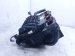 2026 Hyundai Venue Intake Manifold 28310 2M110 Replacement 2026 Hyundai Venue Intake Manifold 28310 2M110 Replacement thumbnail