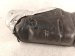 2026 Hyundai Venue Gas / Fuel Tank 31100 K2500 Replacement 2026 Hyundai Venue Gas / Fuel Tank 31100 K2500 Replacement thumbnail