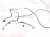 2022 Honda Odyssey Front Bumper Wire Harness 32121 THR A11 Replacement 2022 Honda Odyssey Front Bumper Wire Harness 32121 THR A11 Replacement thumbnail