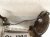 2023 Nissan Murano Passenger Oxygen Sensor 3.5l 226A0 9UH0B Replacement 2023 Nissan Murano Passenger Oxygen Sensor 3.5l 226A0 9UH0B Replacement thumbnail