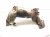 2023 Nissan Murano Catalytic Passenger Exhaust Manifold W/conv 3.5l 14002 JA10A Replacement 2023 Nissan Murano Catalytic Passenger Exhaust Manifold W/conv 3.5l 14002 JA10A Replacement thumbnail