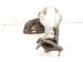 2023 Nissan Murano Catalytic Passenger Exhaust Manifold W/conv 3.5l 14002 JA10A Replacement 2023 Nissan Murano Catalytic Passenger Exhaust Manifold W/conv 3.5l 14002 JA10A Replacement thumbnail