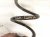 2023 Nissan Murano Strut / / Shock Absorber Rear Passenger Coil Spring 3.5l Fwd 55020 5AA0C Replacement 2023 Nissan Murano Strut / / Shock Absorber Rear Passenger Coil Spring 3.5l Fwd 55020 5AA0C Replacement thumbnail