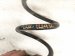 2023 Nissan Murano Strut / / Shock Absorber Rear Passenger Coil Spring 3.5l Fwd 55020 5AA0C Replacement 2023 Nissan Murano Strut / / Shock Absorber Rear Passenger Coil Spring 3.5l Fwd 55020 5AA0C Replacement thumbnail