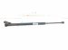 2021 Toyota Rav 4 Driver Tailgate Lift Support Strut 68920 0R020 Replacement 2021 Toyota Rav 4 Driver Tailgate Lift Support Strut 68920 0R020 Replacement thumbnail