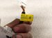 2022 Hyundai Elantra A/t Shifter Indicator 2.0l Fwd 84624 AB020 Replacement 2022 Hyundai Elantra A/t Shifter Indicator 2.0l Fwd 84624 AB020 Replacement thumbnail