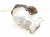 2023 Nissan Murano Catalytic Passenger Exhaust Manifold W/conv 3.5l 14002 JA11B Replacement 2023 Nissan Murano Catalytic Passenger Exhaust Manifold W/conv 3.5l 14002 JA11B Replacement thumbnail