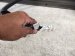 2018 Honda Odyssey Rear Driver Door Green No Inside Trim 67550 THR A10ZZ Replacement 2018 Honda Odyssey Rear Driver Door Green No Inside Trim 67550 THR A10ZZ Replacement thumbnail