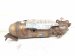 2023 Honda Accord Catalytic Converter 1.5t 18150 6NA L00 Replacement 2023 Honda Accord Catalytic Converter 1.5t 18150 6NA L00 Replacement thumbnail