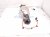 2022 Honda Odyssey Catalytic Rear Exhaust Converter 3.5l Fwd 18150 5MR A51 Replacement 2022 Honda Odyssey Catalytic Rear Exhaust Converter 3.5l Fwd 18150 5MR A51 Replacement thumbnail
